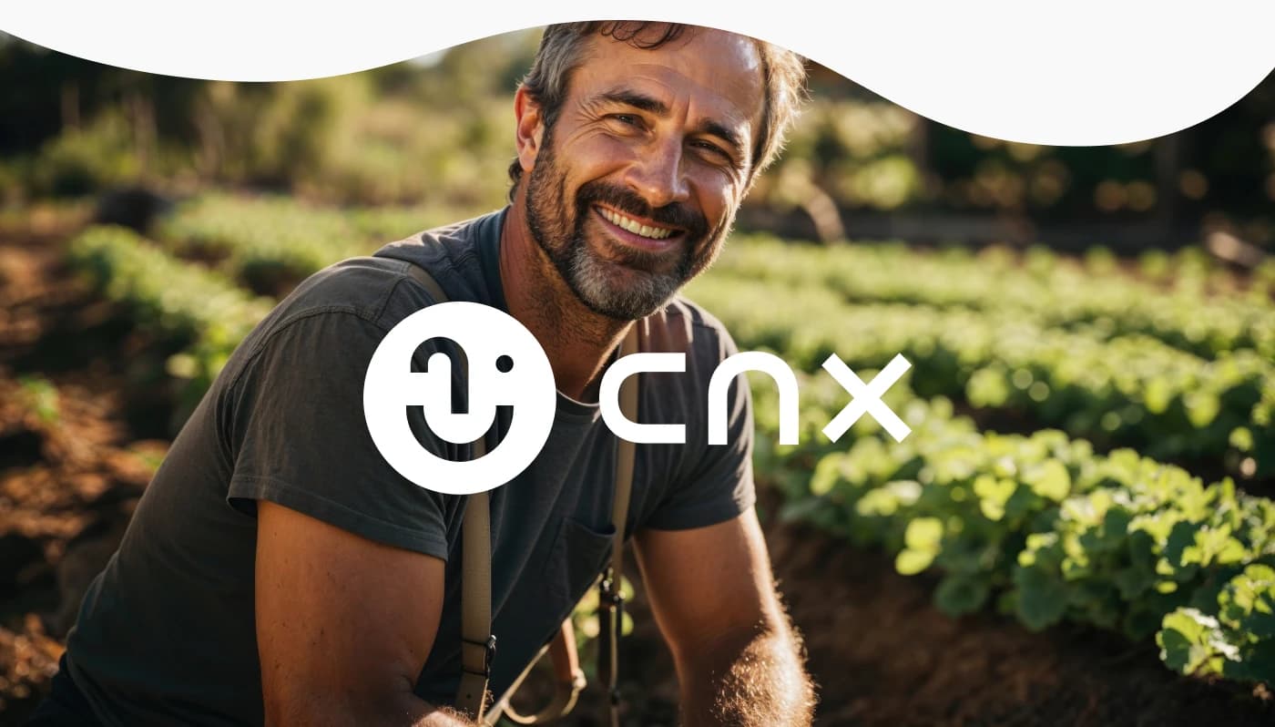 CNX Seguros — image 2